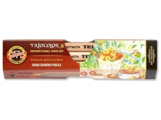 KIN KREDKI TRIOCOLOR 3151 6 KOLORW  NATUR