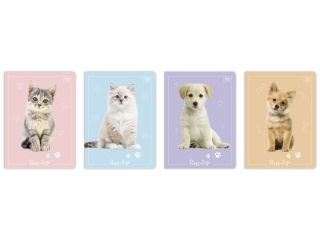 Zeszyt A5 16k. INTERDRUK Kolekcja Puppy Sign kratka