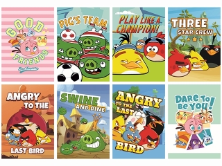 Zeszyt A5 16k. INTERDRUK UV Angry Birds Classic linia