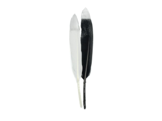 Piórka PD-3264 ze srebrnymi końcami 16cm, mix kol op.6 szt, PROM