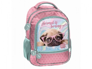 PLECAK STUDIO PETS 43x30x16