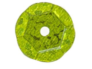 Cekiny hologramowe rozmiar: 6mm waga: 10g kolor: jasny zielony