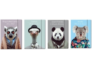 Teczka z gumką A4 BENIAMIN Zoo portraits