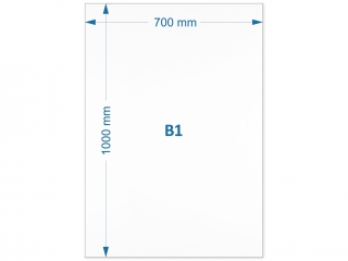 Brystol bia�y B1 250 gram pakowany po 20 ark PAS-7580 cena za arkusz