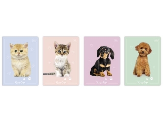 Zeszyt A5 16k. INTERDRUK 70g UV Puppy Sign, kolorowe trzy linie