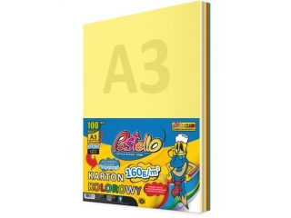 Karton Kolorowy A3 160 gr mix 10 kol. 100 arkuszy PAS-5553