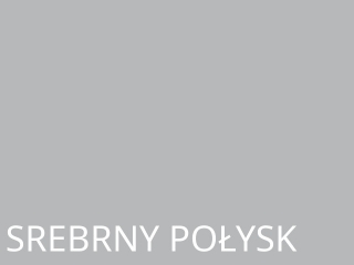 Karton A1-10 srebrny po�ysk