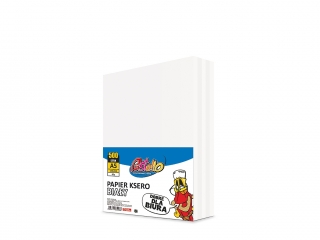 Pap. ksero A5 80 gr BIAY 500 arkuszy  PAS-0961
