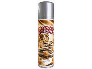 Brokat w sprayu GS-4366 srebrny, 150ml