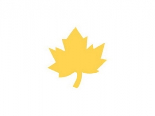 DZIURKACZ OZDOBNY 3, 7CM KLON NZWR-DLP