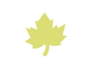 DZIURKACZ OZDOBNY 5CM KLON NZWR-DLP