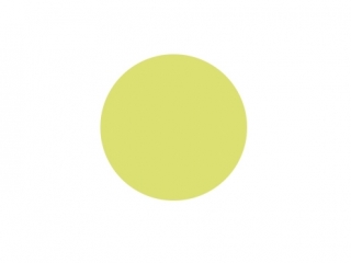 DZIURKACZ OZDOBNY 5 CM KO�O 2 (4, 4 cm) NZWR-DLP