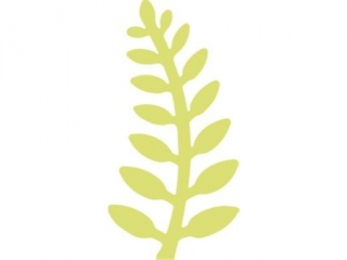 DZIURKACZ OZDOBNY 5CM PAPROĆ NZWR-DLP