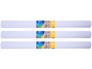 Tektura falista rolka ASTRAPAP B2 50x70 bia�a