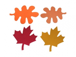 Dekoracje piankowe li�cie klonu i d�bu 8szt. li�cie klonu: 205x190x1mm, li�cie d�bu: 205x128x1mm