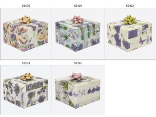 Papier ozdobny w rolkach POL-MAK og�lne 200x70cm P2_OG_19 [opakowanie=50szt]