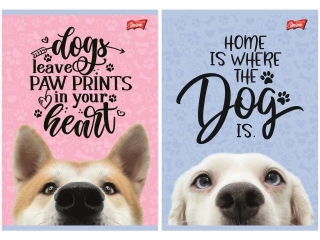 Zeszyt A5 16 kartek krata okadka laminowana 70 g/m2 DOG [opakowanie=15szt]