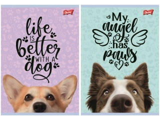 Zeszyt A5 16 kartek krata okadka laminowana 70 g/m2 DOG [opakowanie=15szt]