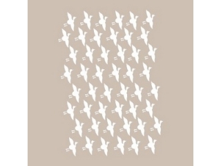 SZABLON 25 x 36 CM NZWR-DLP