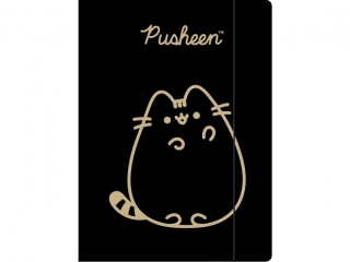 Teczka z gumk A4 300 g/m2 PUSHEEN GOLD [opakowanie=10szt]