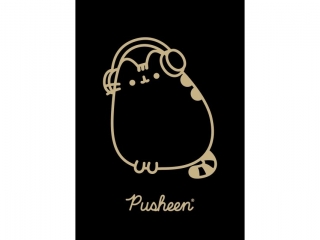 Zeszyt A5 60 kartek krata ok�adka laminowana 70 g/m2 PUSHEEN GOLD [opakowanie=10szt]