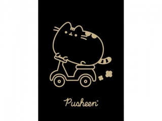 Zeszyt A5 60 kartek krata ok�adka laminowana 70 g/m2 PUSHEEN GOLD [opakowanie=10szt]