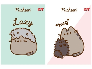 Zeszyt A5 32 kartki krata okadka laminowana 70 g/m2 PUSHEEN [opakowanie=15szt]