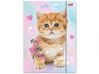 Teczka z gumk� A4 ST.MAJEWSKI 300 g/m2 - MY LITTLE FRIEND, Pies York