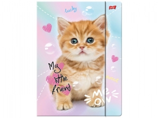 Teczka z gumk� A4 ST.MAJEWSKI 300 g/m2 - MY LITTLE FRIEND, Pies York