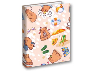 PENMATE SEGREGATOR A4/2 T 0119 KAPIBARA PLAŻA FOLIA MAT NIERYSUJĄCA