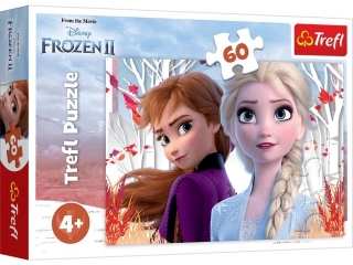 Puzzle   60 TREFL Kraina Lodu - Zaczarowany wiat Anny i Els