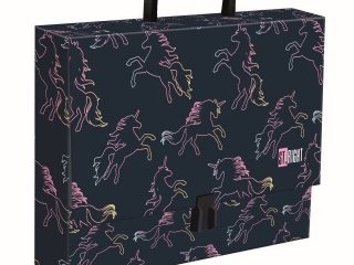 Teczka z rczk A4, XL 33 x 24,8 x 9 cm DREAM UNICORN