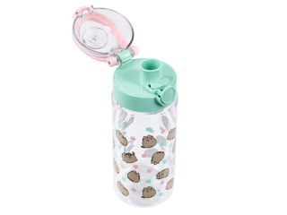 Bidon 500 ml PUSHEEN mint