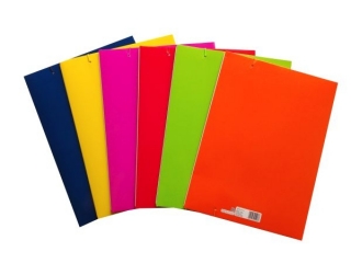 Teczka z gumk A4 REXUS Fluo