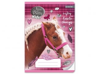 Zeszyt A5 16k. BENIAMIN Nice and Pretty, kolorowe trzy linie