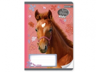 Zeszyt A5 16k. BENIAMIN Nice and Pretty, kolorowe trzy linie