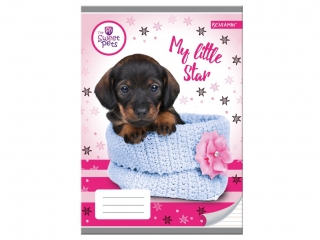 Zeszyt A5 16k. BENIAMIN The Sweet Pets - Pies, kolorowe trzy