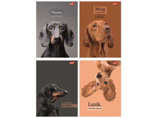 Zeszyt A5 60 kartek linia ok�adka laminowana lakier miejscowy UV 70 g/m2 DOGGY MOODS [opakowanie=10szt]