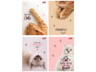Zeszyt A5 60 kartek linia ok�adka laminowana lakier miejscowy UV 70 g/m2 PURRFECT MOMENTS [opakowanie=10szt]