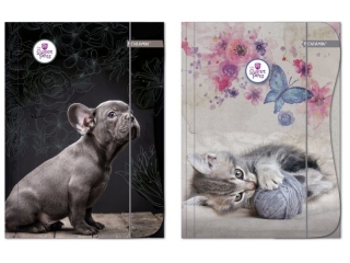 Teczka z gumką A4 BENIAMIN The Sweet Pets