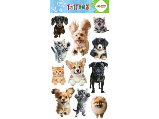 Tatua�e zmywalne BEST FRIENDS, rozm. 100x200 mm, Happy Color [opakowanie=5szt]