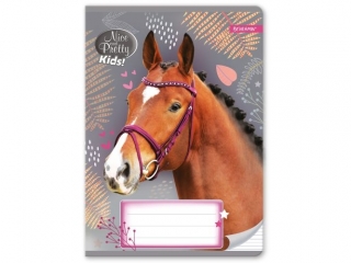 Zeszyt A5 16k. BENIAMIN Nice and Pretty, trzy linie