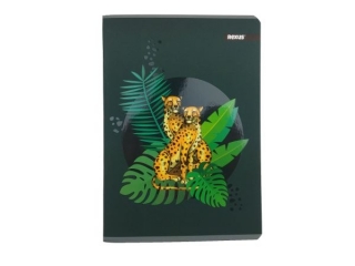 Zeszyt A5 80k. BENIAMIN Premium soft, linia