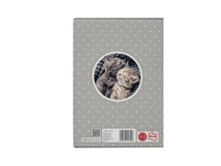 Zeszyt A5 60k. BENIAMIN The Sweet Pets, linia