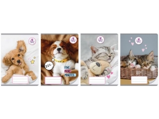 Zeszyt A5 32k. BENIAMIN The Sweet Pets, kratka