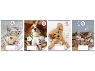 Zeszyt A5 32k. BENIAMIN The Sweet Pets, linia