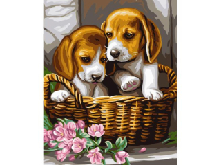 MALOWANIE PO NUMERACH PODOBRAZIE 40X50 CM NIKI4 PIESKI W KOSZYKU