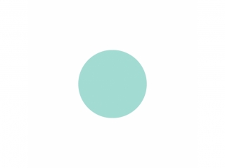 SUPER DZIURKACZ OZDOBNY 3, 8 CM KO�O NZWR-DLP