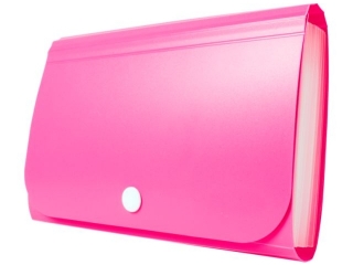 Teczka - Mini organizer harmonijkowy PP TETIS rowy