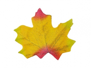 Li�cie klonu materia�owe 80x75mm 10szt. czerwono-��te